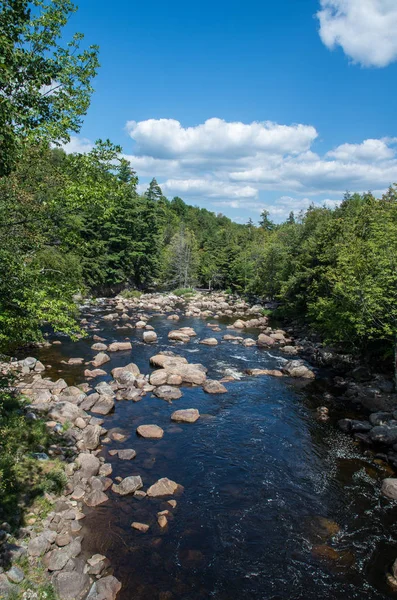 AuSable River — Stock Photo, Image