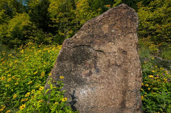 Stor Graverad Sten Med Gul Tusensköna Som Blommor Runt Det — Stockfoto