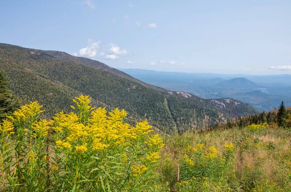 Pohled Adirondacks Vrcholu Malého Bělobrad — Stock fotografie