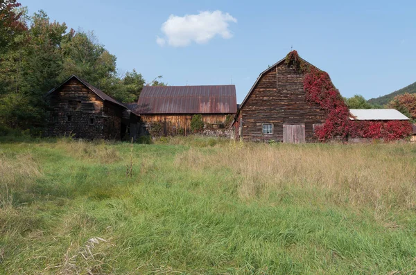 Old rustic weathered barn with red vines growing up it — Stock Photo, Image