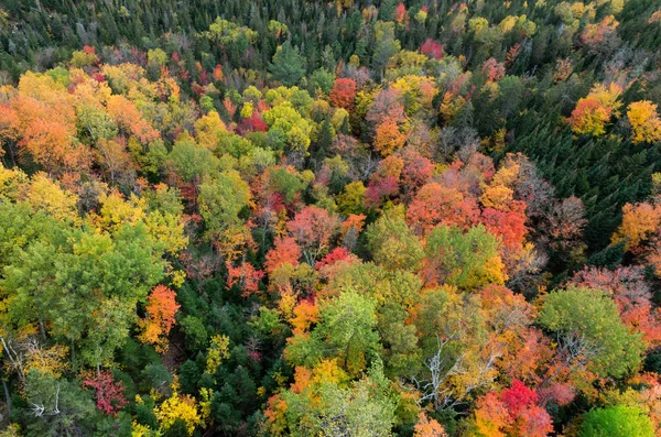 Cor da queda em Lake Placid NY — Fotografia de Stock