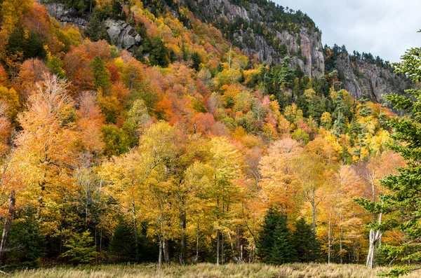 Fall color in Lake Placid NY — Stock Photo, Image