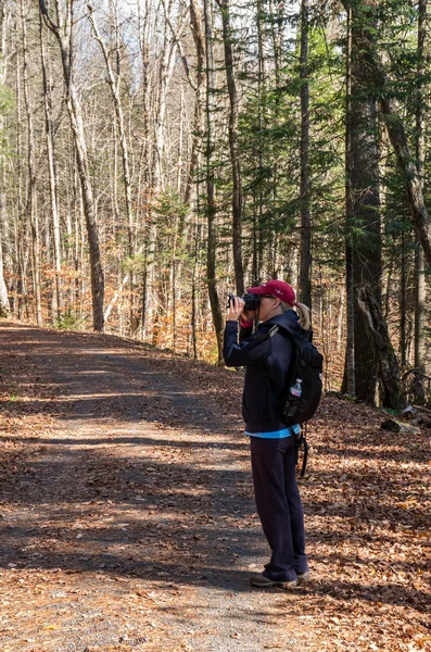 Straße durch die Wildnis — Stockfoto