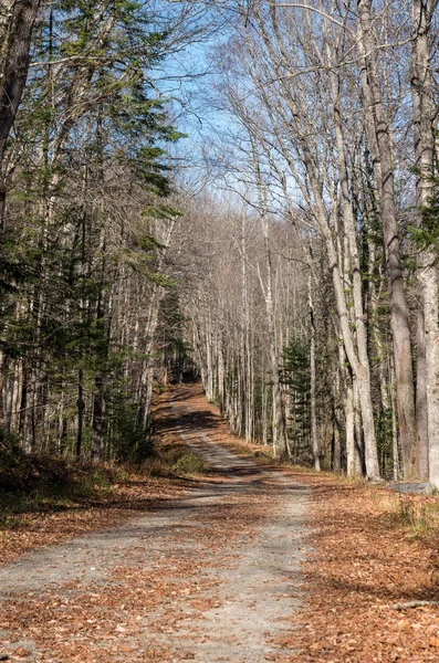 Route à travers le désert — Photo