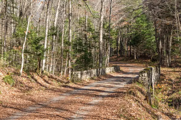 Route à travers le désert — Photo