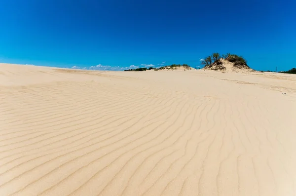 As dunas no cume do Jockey Outer Banks — Fotografia de Stock