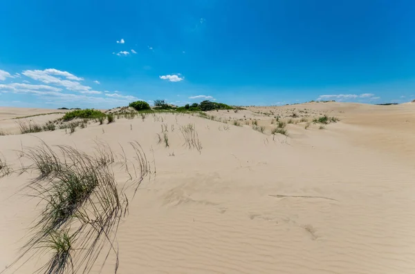 Die Dünen Jockeygrat Äußeren Ufer — Stockfoto