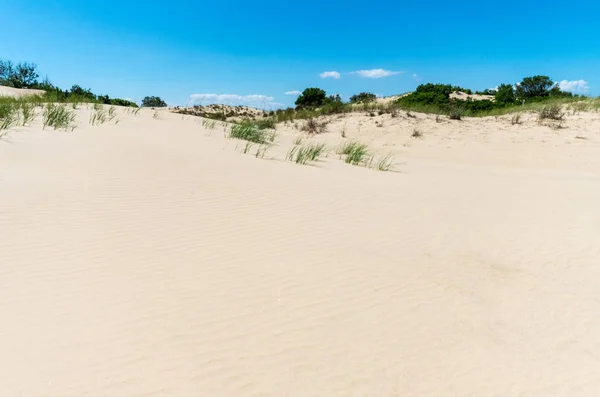 赛马岭外银行的沙丘 — 图库照片