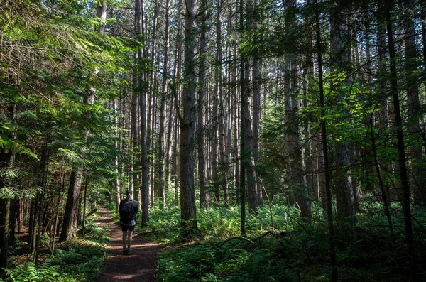 Wanderberg van hoevenberg im adirondack-Gebirge bei lak Stockfoto