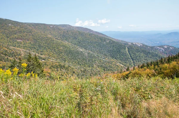 Vista Los Adirondacks Desde Cumbre Pequeña Cara Blanca Imagen de archivo