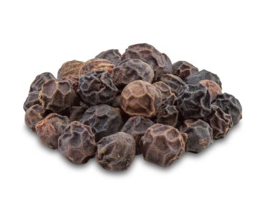 Beyaz arkaplanda Kara Biber.