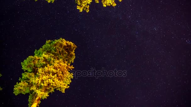 Timelapse el movimiento de las estrellas . — Vídeos de Stock