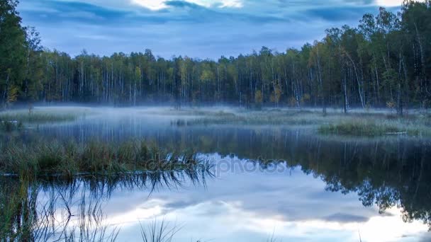 Zeitraffer-Nebel auf dem Waldsee. — Stockvideo