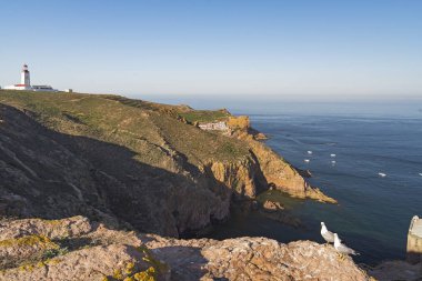 Bay East of berlenga Adası