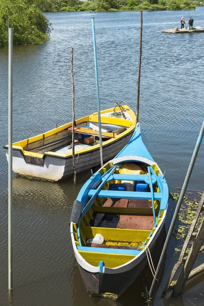 Velhos barcos tradicionais dos pescadores nômades de Avieiros ancorados num cais de madeira, do rio Tejo, em Escaroupim, Portugal — Fotografia de Stock