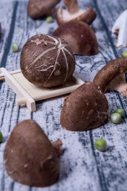 Bir sürü letinous edodes