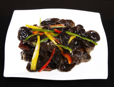 Çince ev yapımı Çanak antenleri