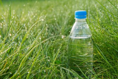 Şişe maden suyu ile yeşil çimenlerin üzerinde çiğ damlaları
