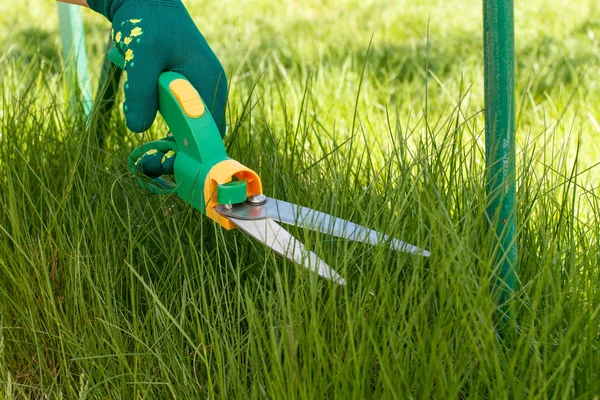 Forbici per erba utilizzate per tagliare l'erba . — Foto Stock