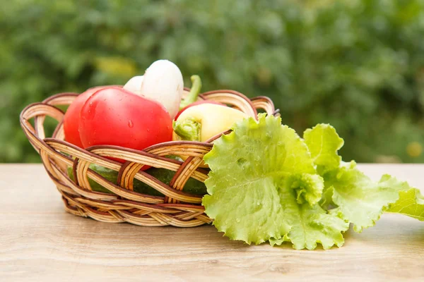 Acabo de recoger tomates y pimiento amarillo en una cesta de mimbre w —  Fotos de Stock