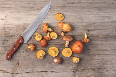 Ormanda yaz gün seçmişsin tereyağı mantar