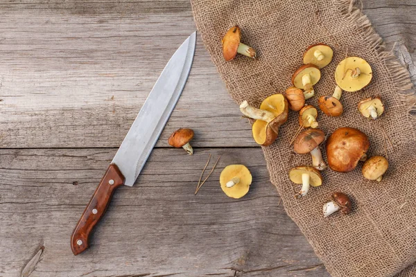 Ormanda yaz gün seçmişsin tereyağı mantar