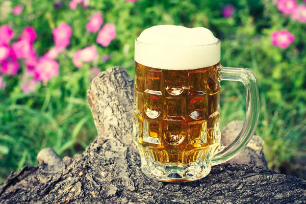 Sklenice piva stojí na kmen padlého stromu — Stock fotografie