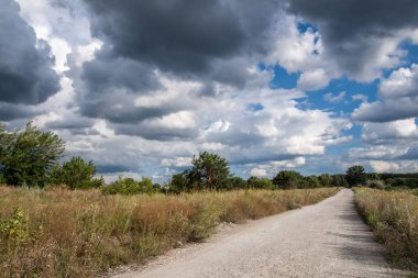 Dramatik bulutlu gökyüzü, orman yolu