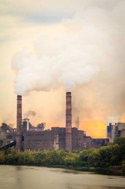 Bacalardan duman atmosfere üfleme ile eski bitki