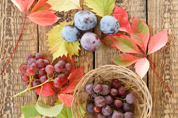 Bodegón de otoño con ciruelas, uvas y canasta de mimbre, verde, y — Foto de Stock