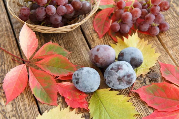 Осенний натюрморт со сливами, виноградом и плетеной корзиной, зеленый, у — стоковое фото