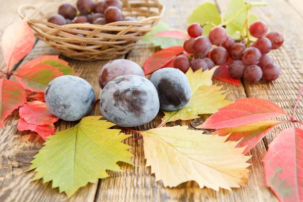 Bodegón de otoño con ciruelas, uvas y canasta de mimbre, verde, y — Foto de Stock