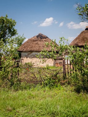 Thatched çatı ile eski çiftlik kırsal bahçesinde