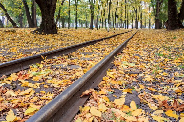 Rails in the city park with fallen yellow autumn leaves