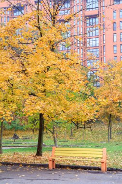 Ahşap Bank, ağaçlar ve modern binanın arka planda aut