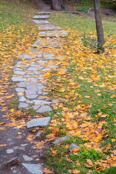 Sentiero in pietra e foglie cadute gialle a terra in città pa — Foto Stock