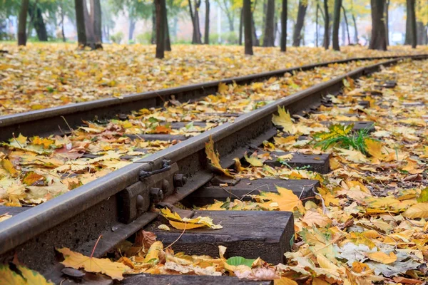 Ferrovie nel parco cittadino con foglie autunnali gialle cadute — Foto Stock