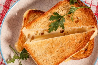 Tost dilim ekmek peynir ve beyaz p yeşil maydanoz ile