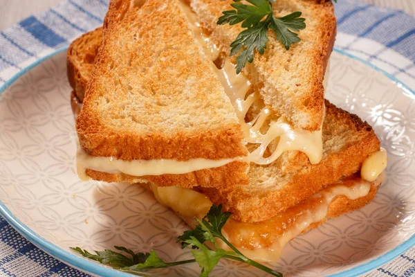 Geroosterde sneetjes brood met kaas en groene peterselie op witte p — Stockfoto