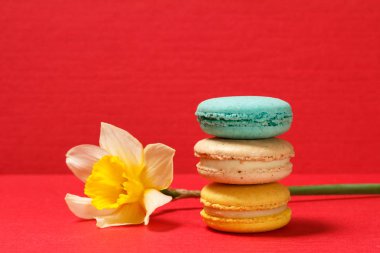 Tatlı macarons kek sarı nergis flo ile farklı renk