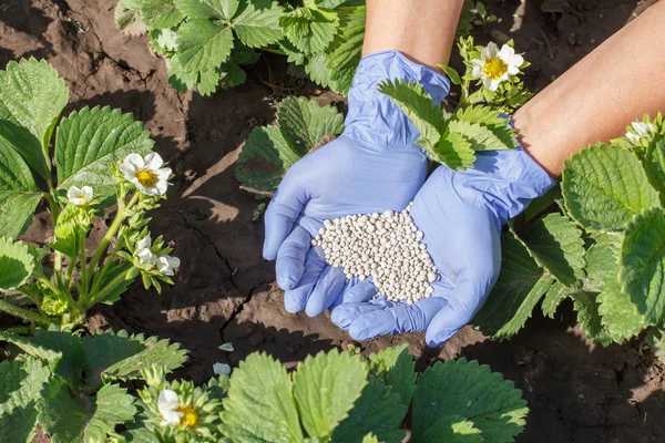 міндобриво