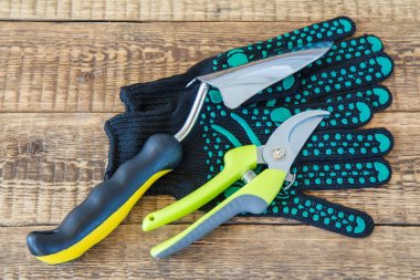 Çift Bahçe eldiven, budayıcı ve mala ahşap tahta üzerinde