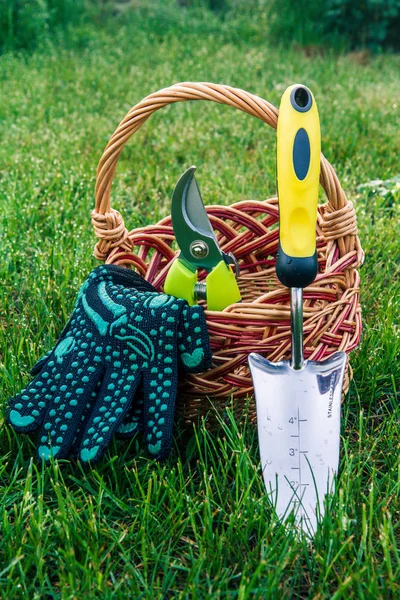 小手花园铲 剪和黑手套与柳条篮在绿草 园艺工具和设备 — 图库照片