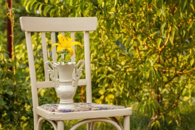 Doğal arka plandaki eski sandalyede vazoda Lily çiçeği..