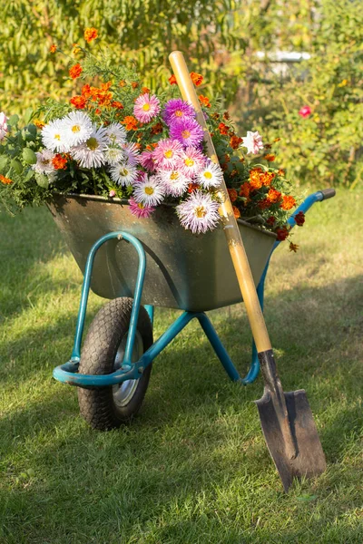 Jardín de verano con carretilla sobre hierba verde . —  Fotos de Stock