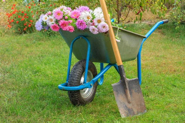 Zomertuin met kruiwagen op groen gras. — Stockfoto