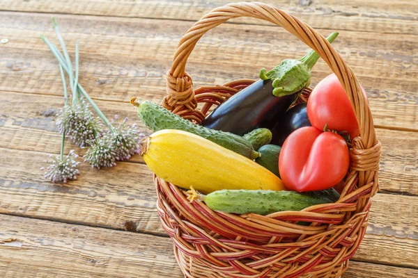 Just picked vegetables on old wooden boards. — Stock Photo, Image