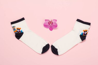 Pembe arka planda kadın çorapları. Üst görünüm.