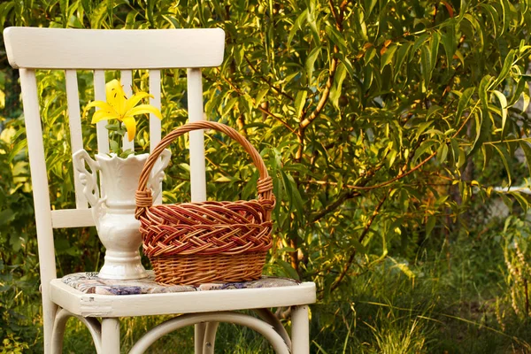 Cesta de mimbre y herramientas de jardín en silla vieja en el fondo natural . — Foto de Stock