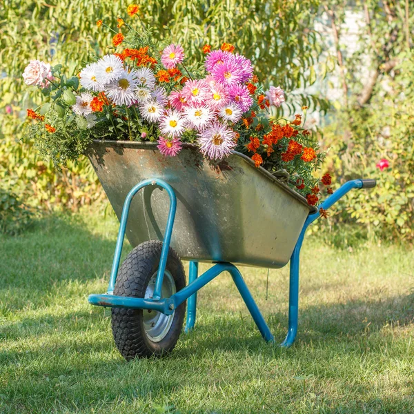 Zomertuin met kruiwagen op groen gras. — Stockfoto